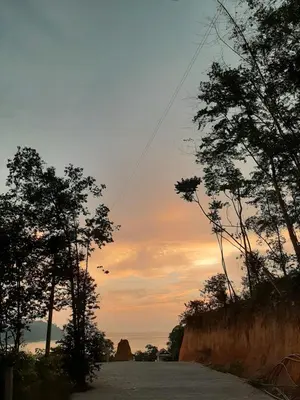 a sunset with trees on the side of a road at Utan Teluk Nipah in Pangkor