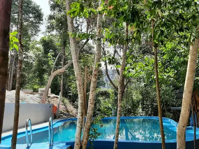 a swimming pool with trees in the background at Utan Teluk Nipah in Pangkor