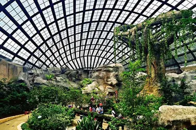a large greenhouse with a tree in the middle at EEs Whale House - Homestay 3 min walk to beach in Batu Ferringhi