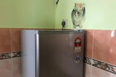 a cat is standing on top of a refrigerator at Tambun homestay in Ipoh