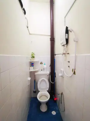 a small bathroom with a toilet and a shower at Taman Bagan Single Storey Terrace House, 9mins to Sunway Carnival Mall, Seberang Jaya in Butterworth