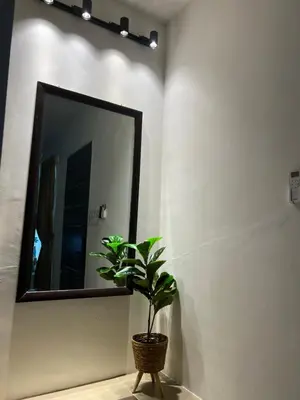 a mirror in a room with a potted plant at As Syifaa Homestay Mslim only in Ipoh