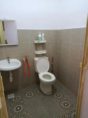 a bathroom with a toilet and a sink at Kayu Cengal Homestay in Seri Iskandar