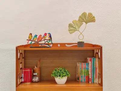 a book shelf with a potted plant and books at SS Ipoh Comfort Homestay - Taman Bertuah in Ipoh