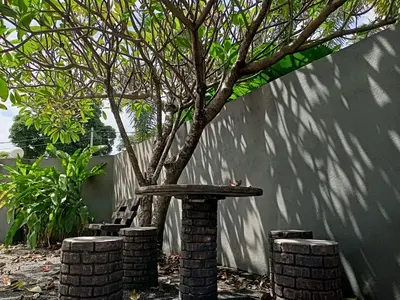 a tree and a bench next to a wall at Ipoh Comfortable Rooms Only-Private Bathrooms Indoor Car Parking SY30 in Ipoh