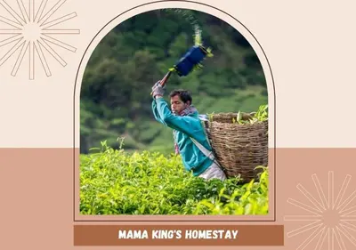 a picture of a man in a tea plantations field with aorerventory at Mama King’s Homestay@ Palas Horizon in Brinchang