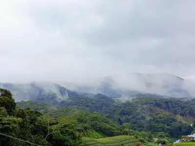 a view of a mountain with clouds in the sky at Dream 1 in Cameron Highlands