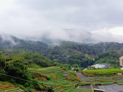 a view of a mountain with clouds in the background at Dream 1 in Cameron Highlands