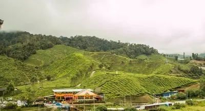 a mountain covered in green hills with a house at Gorgeous Sunset & Tea Plantation View-Premium Hotel Bed in Kampung Kuala Terla