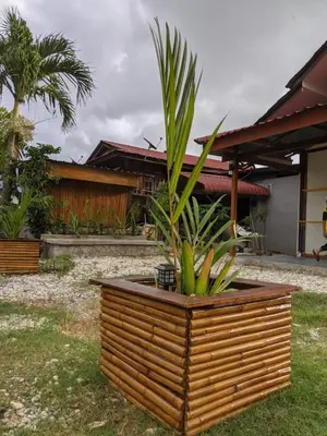 a plant in a wooden planter in front of a house at Denai Senja in Kuala Selangor