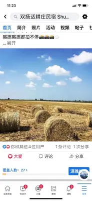 a screenshot of a page of a field with hay at Shuang Yang Sekinchan Homestay 3 in Sekincan