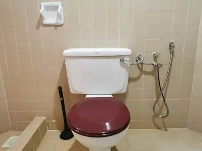 a bathroom with a toilet with a shower at Cozy NEAR-BEACH Apartment - LazyCats' Den in Batu Ferringhi