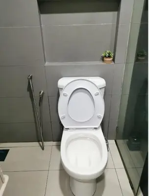 a bathroom with a toilet with a plant on the wall at Cozy Studio house /Soho Unit Near Kampar Utar in Kampar