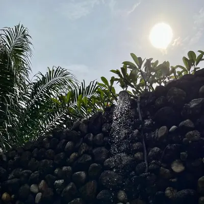 a pile of rocks and plants with the sun in the background at Sahom Valley Resort - Agro & Eco Park in Kampar