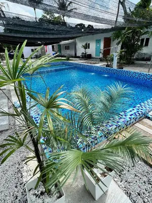 an overhead view of a swimming pool with a palm tree at Bertam Cottage Penang in Kepala Batas
