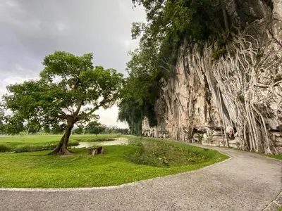 a tree on the side of a road next to a mountain at LOW SEASON PROMOTION! Mountainview Corner Lot 10 pax in Ipoh