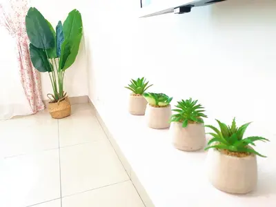 a row of potted plants sitting on a wall at TuR11-Oppesite Pisa Stadium-1min-FoodCourt-MiniMarket in Bayan Lepas
