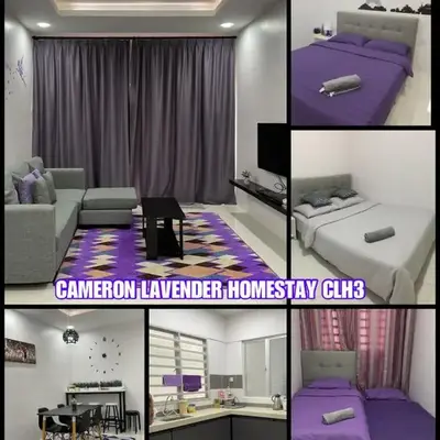 Cameron Lavender Homestay 3