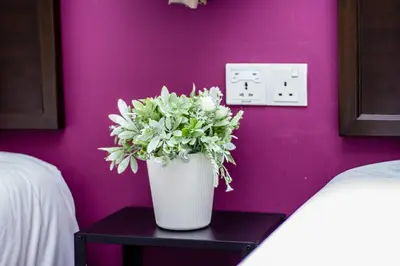 a white vase with flowers on a table next to a purple wall at Surprised Homestay Butterworth in Butterworth
