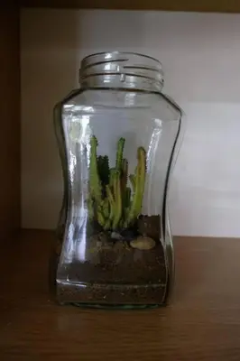 a glass jar with a cactus in it on a table at Simple Home Taiping \u7b80\u5c45 Lakeview in Taiping