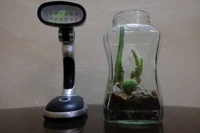 a small aquarium in a glass jar with a cactus in it at Simple Home Taiping \u7b80\u5c45 Lakeview in Taiping