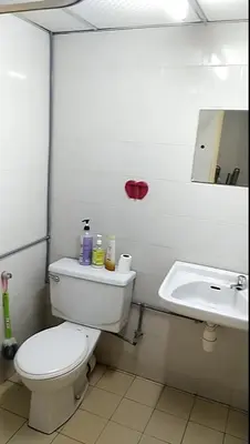 a bathroom with a toilet and a sink at Seri Sayang Seaview Resort Batu Ferringhi in Batu Ferringhi