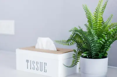 a plant in a white pot next to a tissue box at Beachboy Chalet By The Beach in Bukit Lada