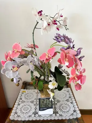 a vase filled with flowers sitting on a table at THE MILKY WAY @ PINE RESORT in Bukit Fraser