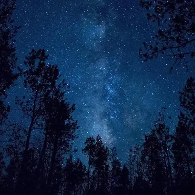 a starry night with trees in the foreground at THE MILKY WAY @ PINE RESORT in Bukit Fraser