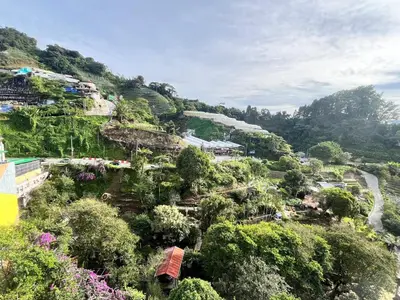 a view of a mountain with trees and bushes at Nova Mountain n Sunrise view Hilltop Hotel Apartment in Cameron Highlands in Cameron Highlands
