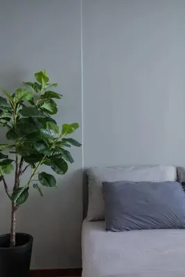 a plant sitting next to a bed with a pillow at Deluxe Seaview Suite Twin Bed by The Only Bnb in Tanjong Tokong