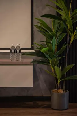 a plant in a pot next to two bottles of water at Opulent Seaview Projector Lounge by The Only Bnb in Tanjong Tokong