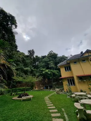 a yard with a yellow house and a park with chairs at Highlanders Garden Guesthouse at Arundina Cameron Highlands in Cameron Highlands