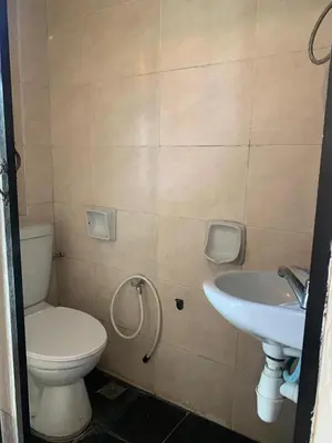 a bathroom with a toilet and a sink at D'Feringghi Hotel in Batu Ferringhi