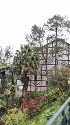 a palm tree in a garden in front of a building at Copthorn Homestay in Brinchang