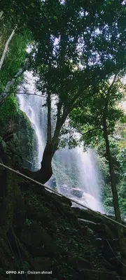 a view of a waterfall from the side of a river at Royal Belum Mystical in Gerik