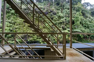 a view from the stairs of a house with trees at Golden Lodge in Tanah Rata