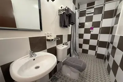 a bathroom with a sink and a toilet at Carnarvon Heritage Lodge in George Town