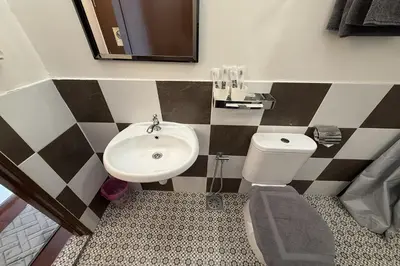 a bathroom with a sink and a toilet at Carnarvon Heritage Lodge in George Town