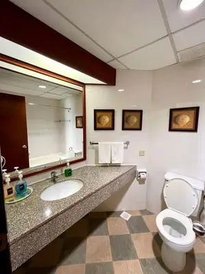 a bathroom with a toilet and a sink and a mirror at Seaview Deluxe Rainbow Paradise Tg Bungah 8pax in Tanjung Bungah
