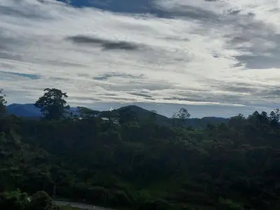 a view of a forested hill with a road and clouds at Nova Retreat Kea Farm Balcony Valley View in Brinchang