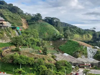 a hillside with trees and a waterfall on it at Nova Retreat Kea Farm Balcony Valley View in Brinchang