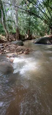 a river with a bridge in the middle of it at Hometostay Bokbak Kupang in Kampong Baubak