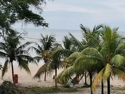a group of palm trees on a sandy beach at By The Sea Batu Ferringhi Beach Front, Seaview And Pool Front in Batu Ferringhi