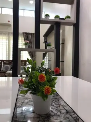 a potted plant sitting on a table in a room at Koolest homestays Meru in Ipoh