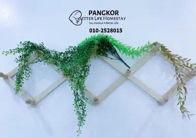a couple of windows covered in green ivy at Pangkor Pasir Bogak Apartment 2Rooms 2Bathrooms near beach 6pax FREE WIFI in Pangkor