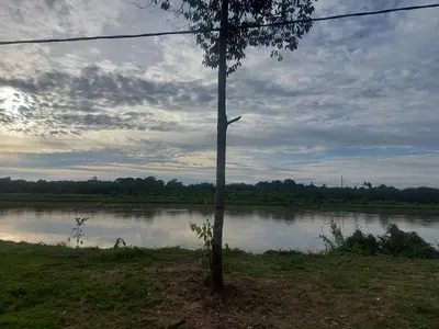 a tree in front of a river with a sky at Rumah Kebun by Panorama Homestay in Lambor Kanan