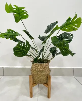 a potted plant sitting on a wooden chair at Cozystay @ The Quintet, Cameron in Tanah Rata