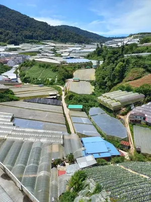 Gallery image of Nature Stay Cameron Highlands in Cameron Highlands