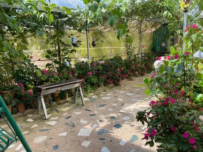 a bench sitting in a garden with flowers at New Farmer Hut 1 in Brinchang